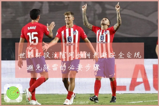 世界杯投注官网如何判断安全合规，避免踩雷的必要步骤