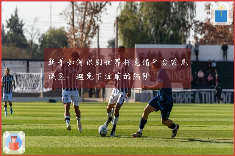 新手如何识别世界杯竞猜平台常见误区，避免下注前的陷阱