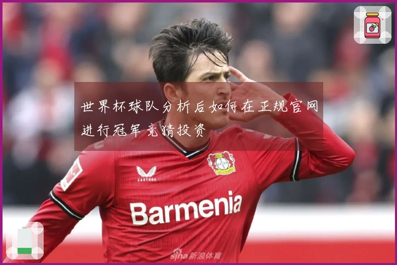 世界杯球队分析后如何在正规官网进行冠军竞猜投资