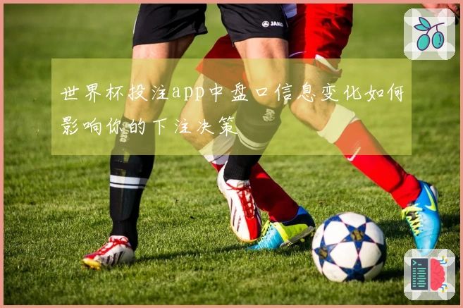 世界杯投注app中盘口信息变化如何影响你的下注决策