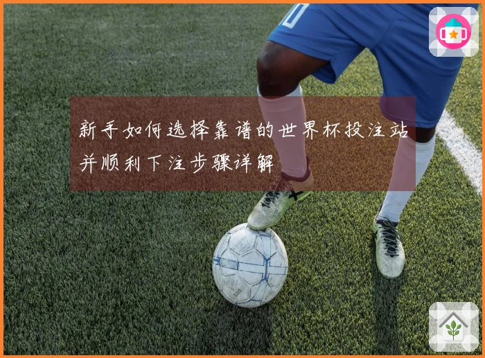 新手如何选择靠谱的世界杯投注站并顺利下注步骤详解