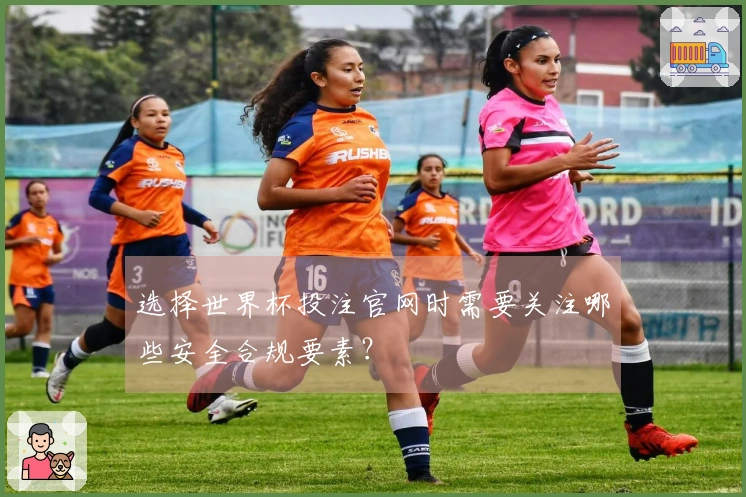 选择世界杯投注官网时需要关注哪些安全合规要素？